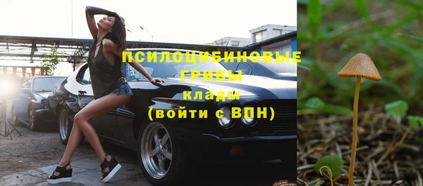 бутират Богданович