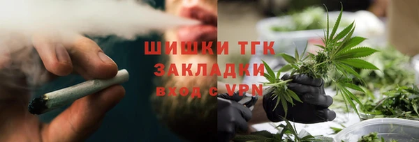 гашик Богородск