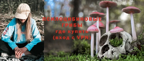 гашик Богородск