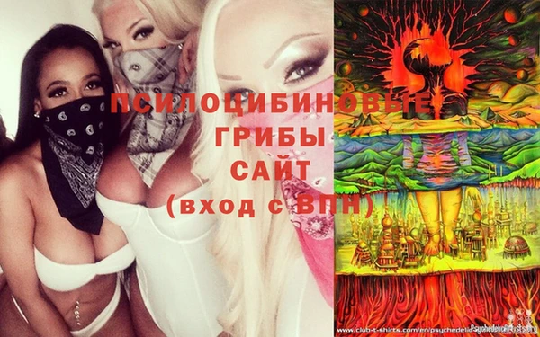 бутират Богданович