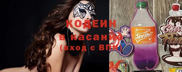 гашик Богородск